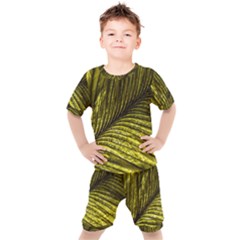 Feather Macro Bird Plumage Nature Kid s Set by Wegoenart