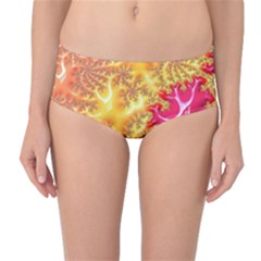 Fractal Math Mathematics Science Mid-waist Bikini Bottoms by Wegoenart