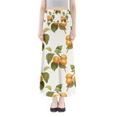Apricot Fruit Vintage Art Full Length Maxi Skirt by Pakrebo