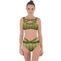 Zig Zag Chevron Classic Pattern Bandaged Up Bikini Set  View1