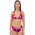 Deep Pink And Crimson Hibiscus Flower Macro Double Strap Halter Bikini Set View1