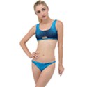 Deep Ocean The Little Details Bikini Set View1