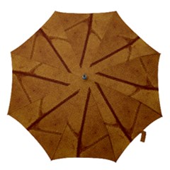 Leaf Fall Foliage Nature Orange Hook Handle Umbrellas (medium) by Pakrebo
