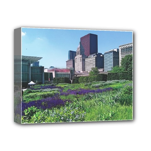Lurie Garden Salvia River Deluxe Canvas 14  X 11  (stretched) by Riverwoman