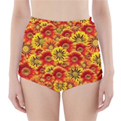 Brilliant Orange And Yellow Daisies High-waisted Bikini Bottoms by retrotoomoderndesigns