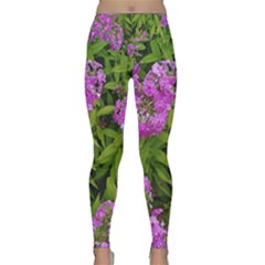 Stratford Garden Phlox Lightweight Velour Classic Yoga Leggings by Riverwoman
