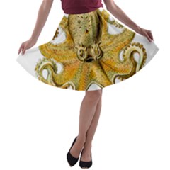 Animal Art Forms In Nature Clips A-line Skater Skirt by Wegoenart