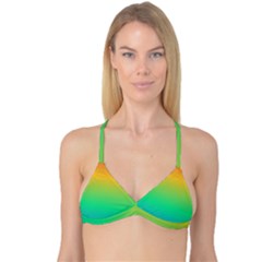 Sunburnt Splash Reversible Tri Bikini Top by retrotoomoderndesigns