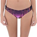 Fractal Mandelbulb 3d Reversible Hipster Bikini Bottoms View1
