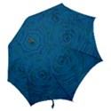 Big Data Information Data Hook Handle Umbrellas (Small) View2