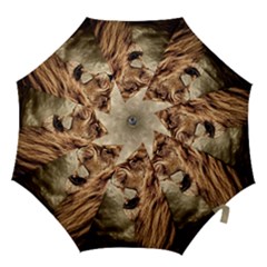 Roaring Lion Hook Handle Umbrellas (medium) by Sudhe