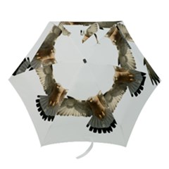 Eagle Mini Folding Umbrellas by Sudhe