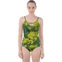 Garden of the Phoenix Cut Out Top Tankini Set View1