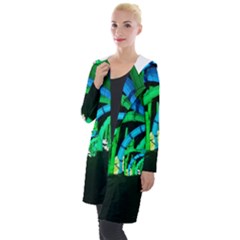 Dragon Lights Panda Hooded Pocket Cardigan by Riverwoman