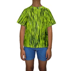 Agricultural Field   Kids  Short Sleeve Swimwear by rsooll