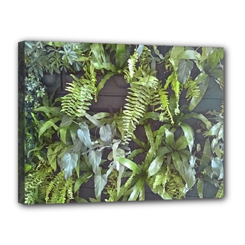 Living Wall Canvas 16  X 12  (stretched) by Riverwoman