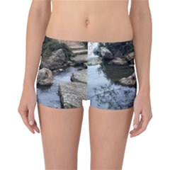 Garden Of The Phoenix Reversible Boyleg Bikini Bottoms by Riverwoman