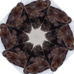 Laying In Dog Bed Straight Umbrellas by pauchesstore