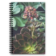 Succulents 5 5  X 8 5  Notebook by okhismakingart