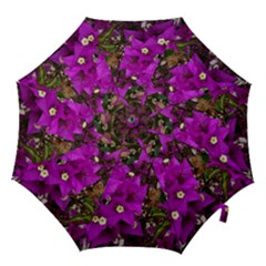 Bougainvillea  Hook Handle Umbrellas (small) by okhismakingart