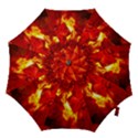 Bernstein Burning Stone Gem Hook Handle Umbrellas (Small) View1