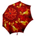 Bernstein Burning Stone Gem Hook Handle Umbrellas (Small) View2