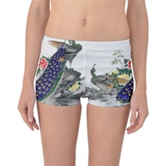 Image From Rawpixel Id 434953 Jpeg (2) Boyleg Bikini Bottoms by Sobalvarro
