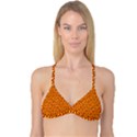 RP-2-6 Reversible Tri Bikini Top View1
