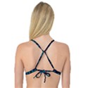 Background Abstract Textile Design Reversible Tri Bikini Top View2
