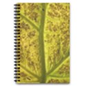 Leaf Structure Texture Background 5.5  x 8.5  Notebook View1