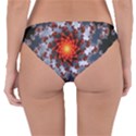 Fractal Spiral Rendering Curve Reversible Hipster Bikini Bottoms View4