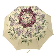 Botanical Print Antique Flora Plant Folding Umbrellas by Pakrebo