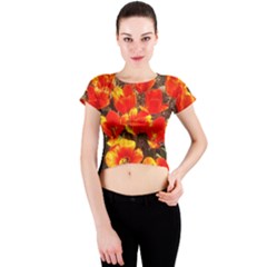 Orange Tulips At The Commons Crew Neck Crop Top by Riverwoman