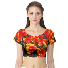Orange Tulips At The Commons Short Sleeve Crop Top by Riverwoman