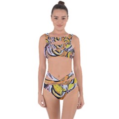Img 3498 (3) Bandaged Up Bikini Set  by 2872609