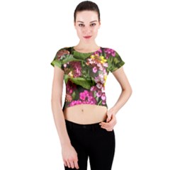 Summer Lantana W Bee Crew Neck Crop Top by Riverwoman