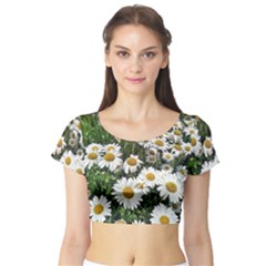 Columbus Commons Shasta Daisies Short Sleeve Crop Top by Riverwoman