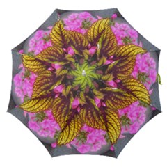 Coleus & Petunia Straight Umbrellas by Riverwoman