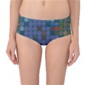 Zappwaits Mid-Waist Bikini Bottoms View1