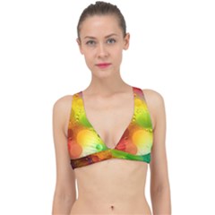 Abstract Sunlight Flower Reflection Color Macro Floating Yellow Circle Macro Photography Spheres Oil Classic Banded Bikini Top by Vaneshart