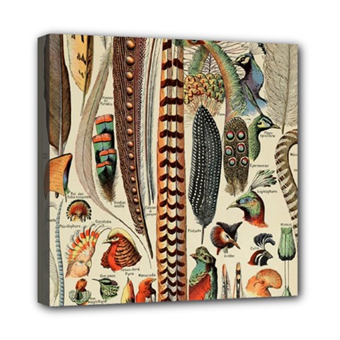 Feathers Birds Vintage Art Mini Canvas 8  X 8  (stretched) by Vaneshart