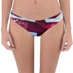 The British Flag Reversible Hipster Bikini Bottoms by Vaneshart