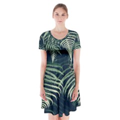 Nature 605506 960 720 Short Sleeve V-neck Flare Dress by vintage2030