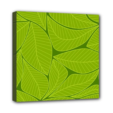 Pattern Leaves Walnut Nature Mini Canvas 8  X 8  (stretched) by Vaneshart
