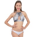 Wonderful Fairy With Butterflies And Dragonfly Cross Front Halter Bikini Top View1