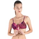 Manipulation Fantasy Photoshop Tie Up Cut Bikini Top View1