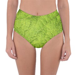 Structure Nature Texture Pattern Reversible High-waist Bikini Bottoms by Vaneshart