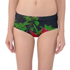Dark Pop Art Floral Poster Mid-waist Bikini Bottoms by dflcprintsclothing