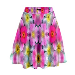Ab 107 High Waist Skirt by ArtworkByPatrick