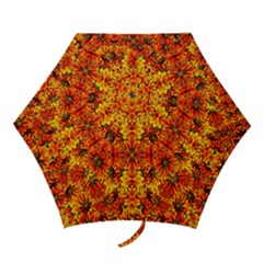 Ab 110 Mini Folding Umbrellas by ArtworkByPatrick